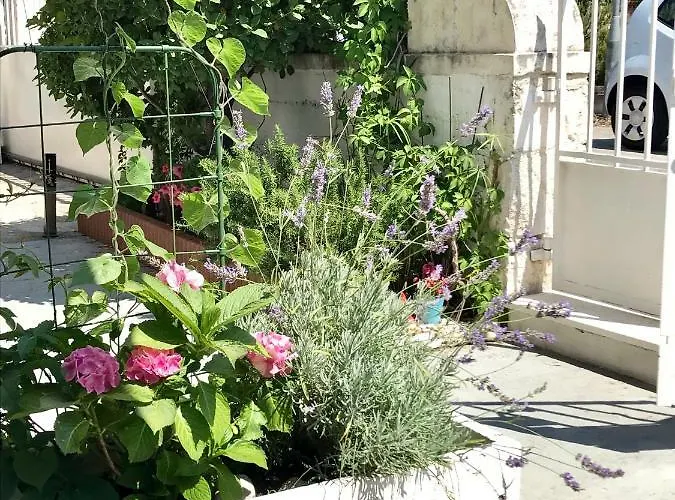 Lusea Apartment Split